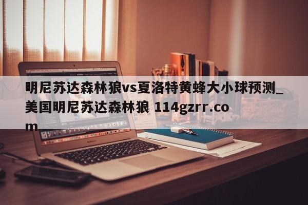 明尼苏达森林狼vs夏洛特黄蜂大小球预测_美国明尼苏达森林狼 114gzrr.com 