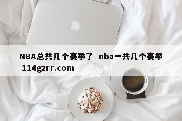 NBA总共几个赛季了_nba一共几个赛季 114gzrr.com 